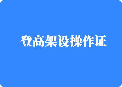 逼特逼看片登高架设操作证